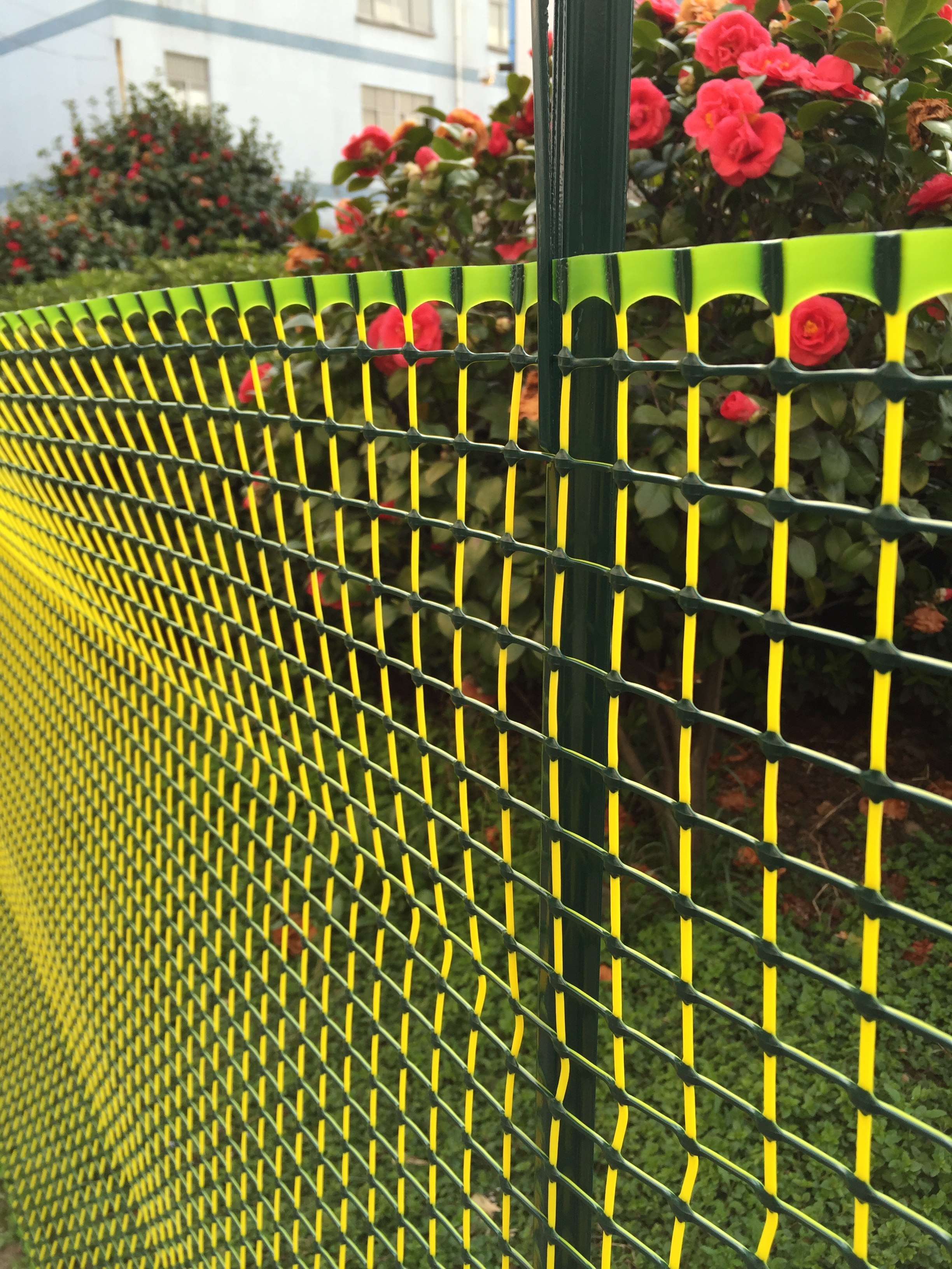 Garden fence