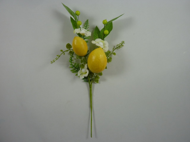 Lemon pick