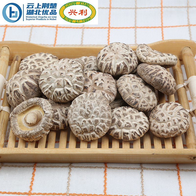 Spring White Flower Mushroom 4-5CM