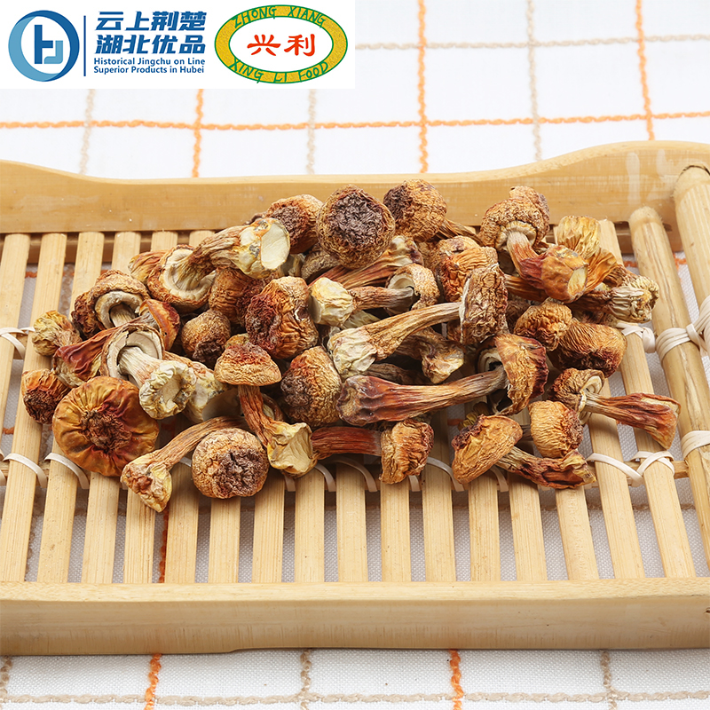 Agaricus blazei mushrooms