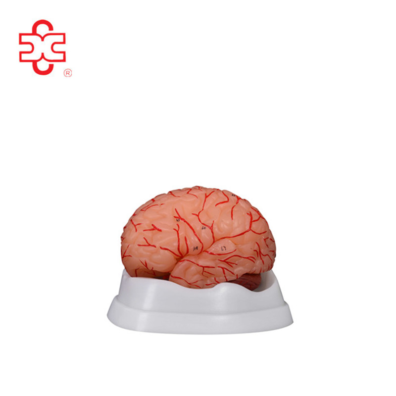 XINCHENG SCIENTIFIC INDUSTRIES CO., LTD. – raqueta de tenis 2