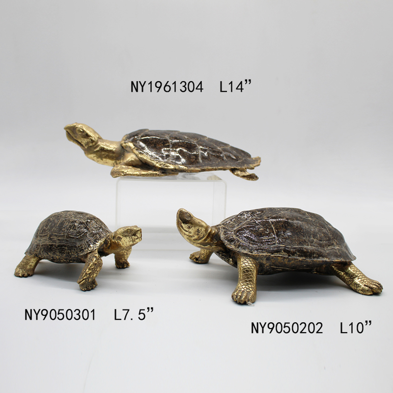 Tortoise
