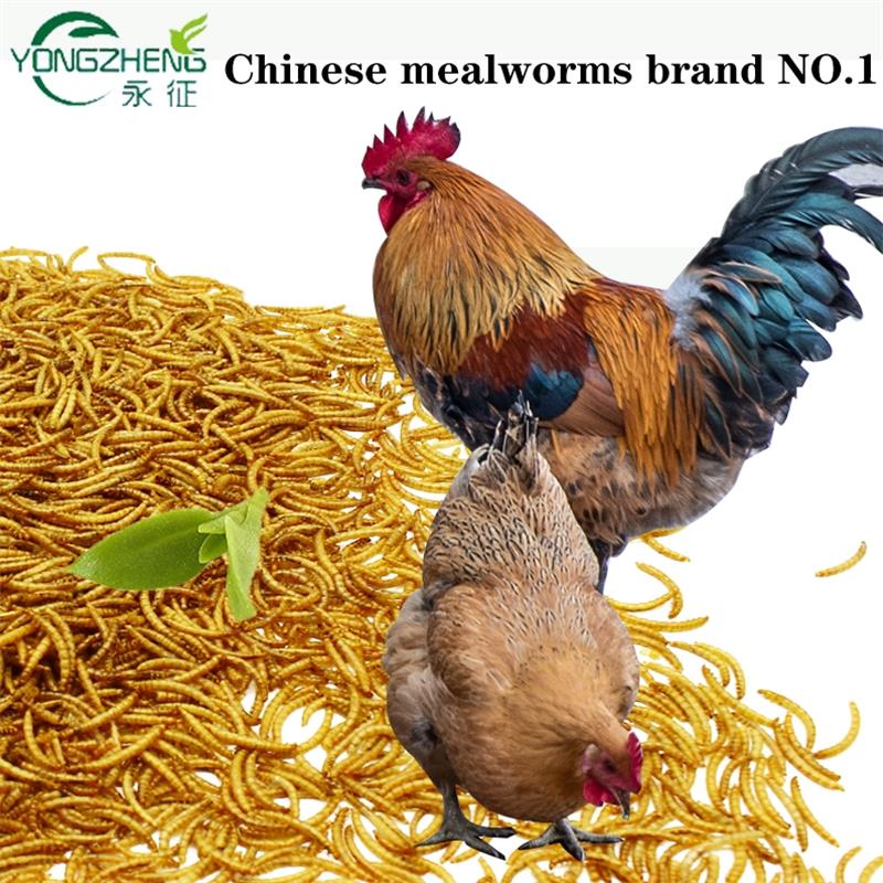 SHANXIAN YONGZHENG PET FOOD CO.,LTD – bicicleta de montaña 3