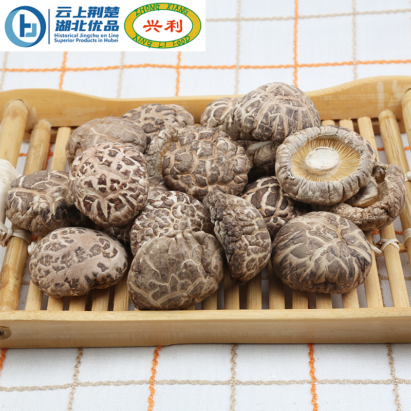Autumn Premium Tea Flower Mushroom TA1+ 4-5CM