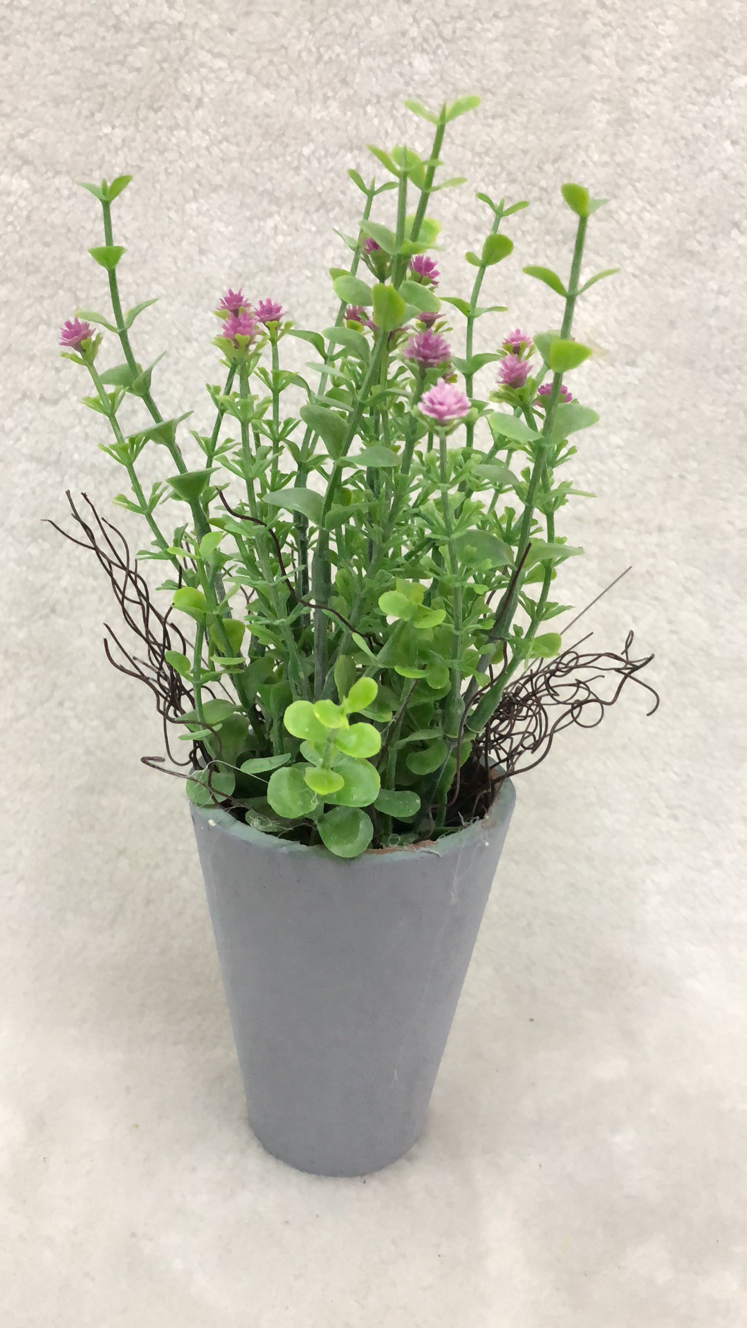 Small Potted Grass