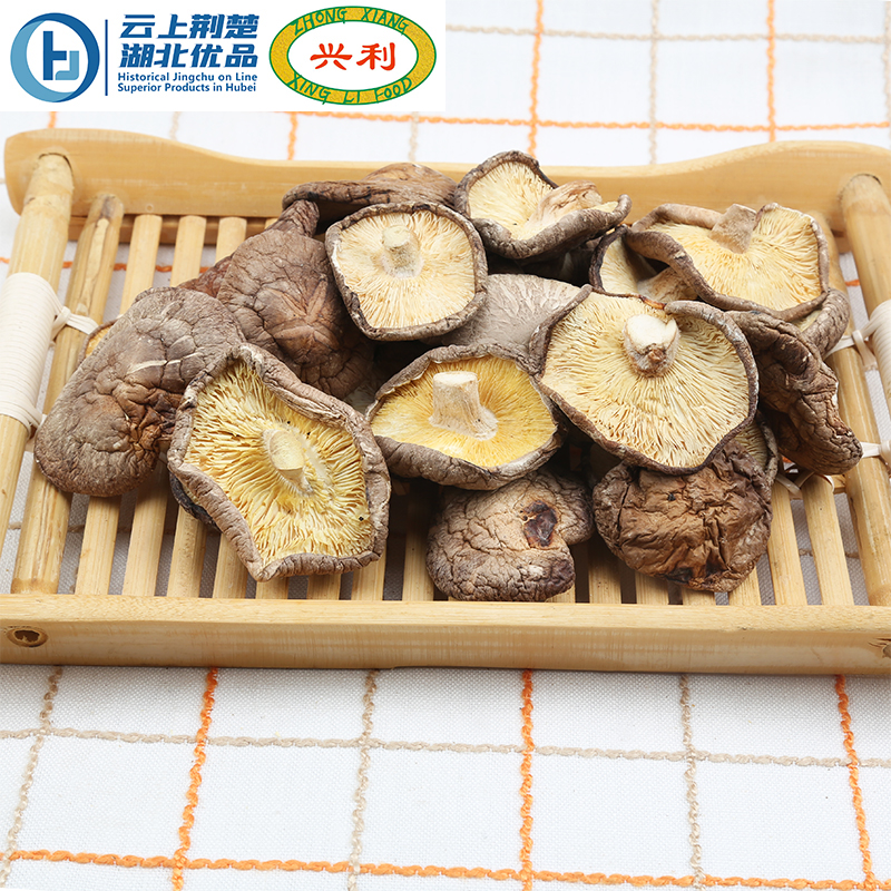 Spring Smooth Mushroom B5 4-5CM