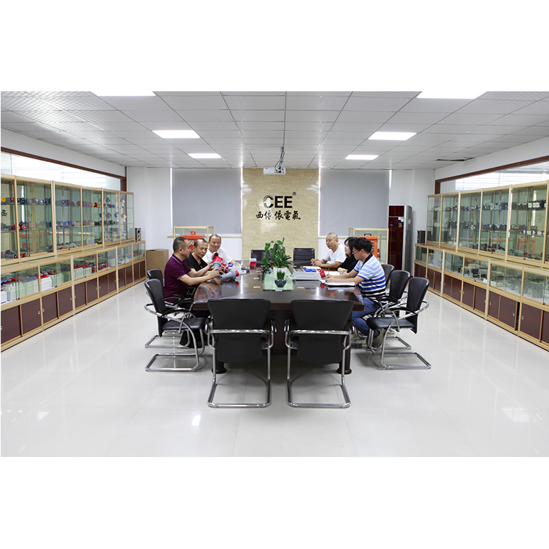 Zhejiang Xiyi Electric Co., Ltd. – plugs 3