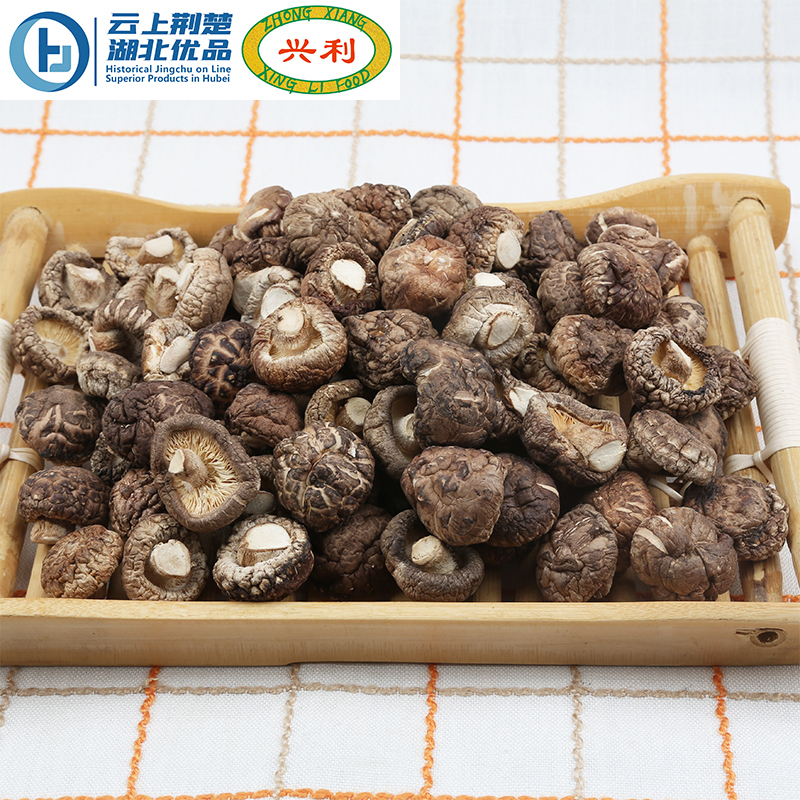 A Grade Autumn Smooth Mushroom TAB2 2.5-3CM