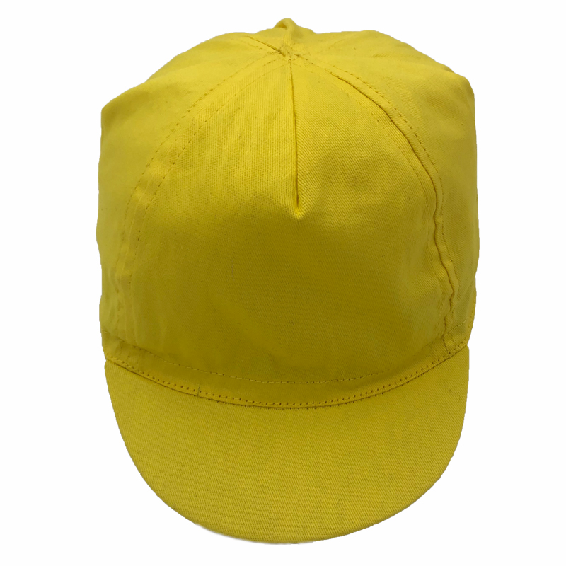 4 panel cap