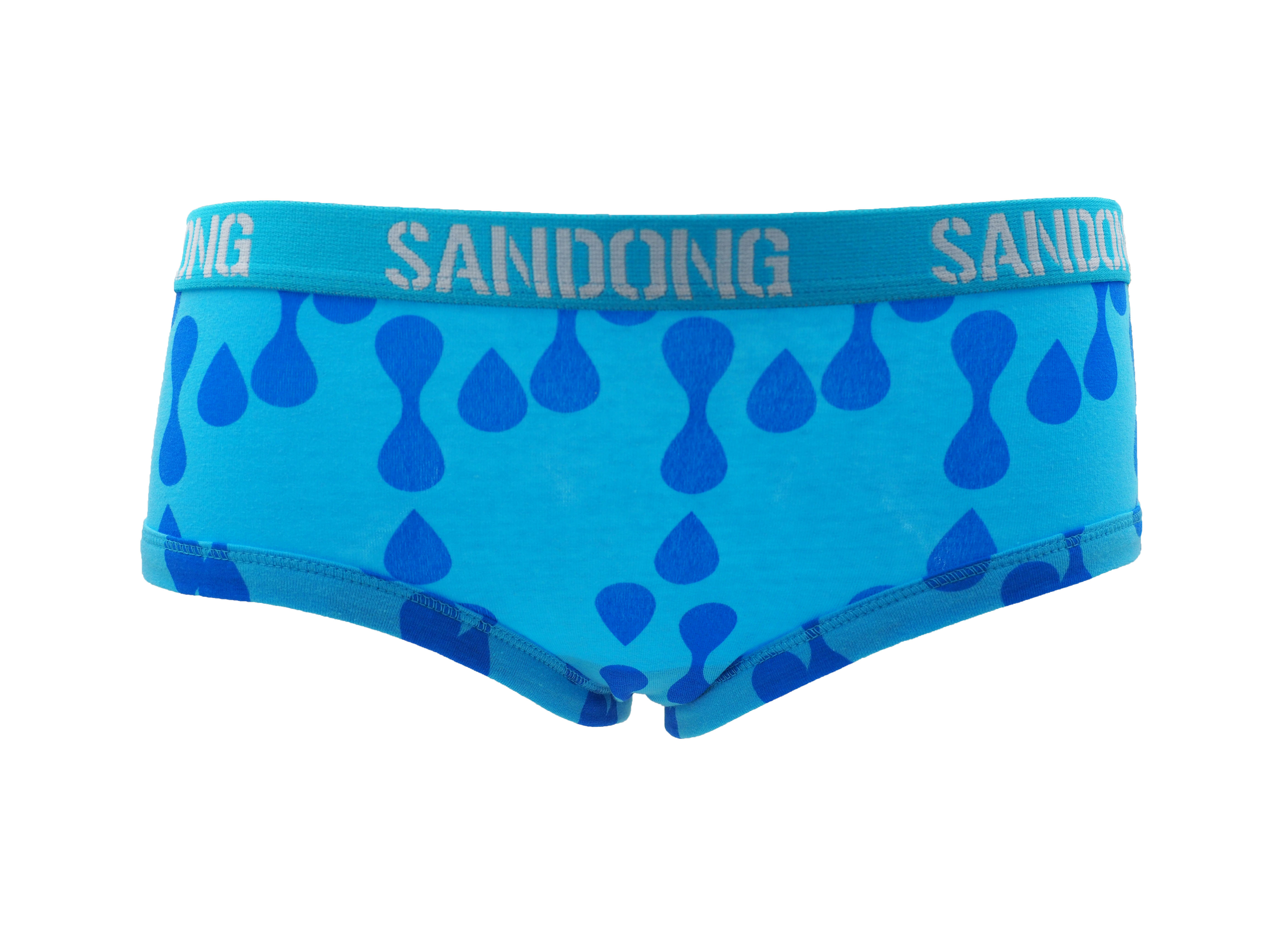 ladies briefs