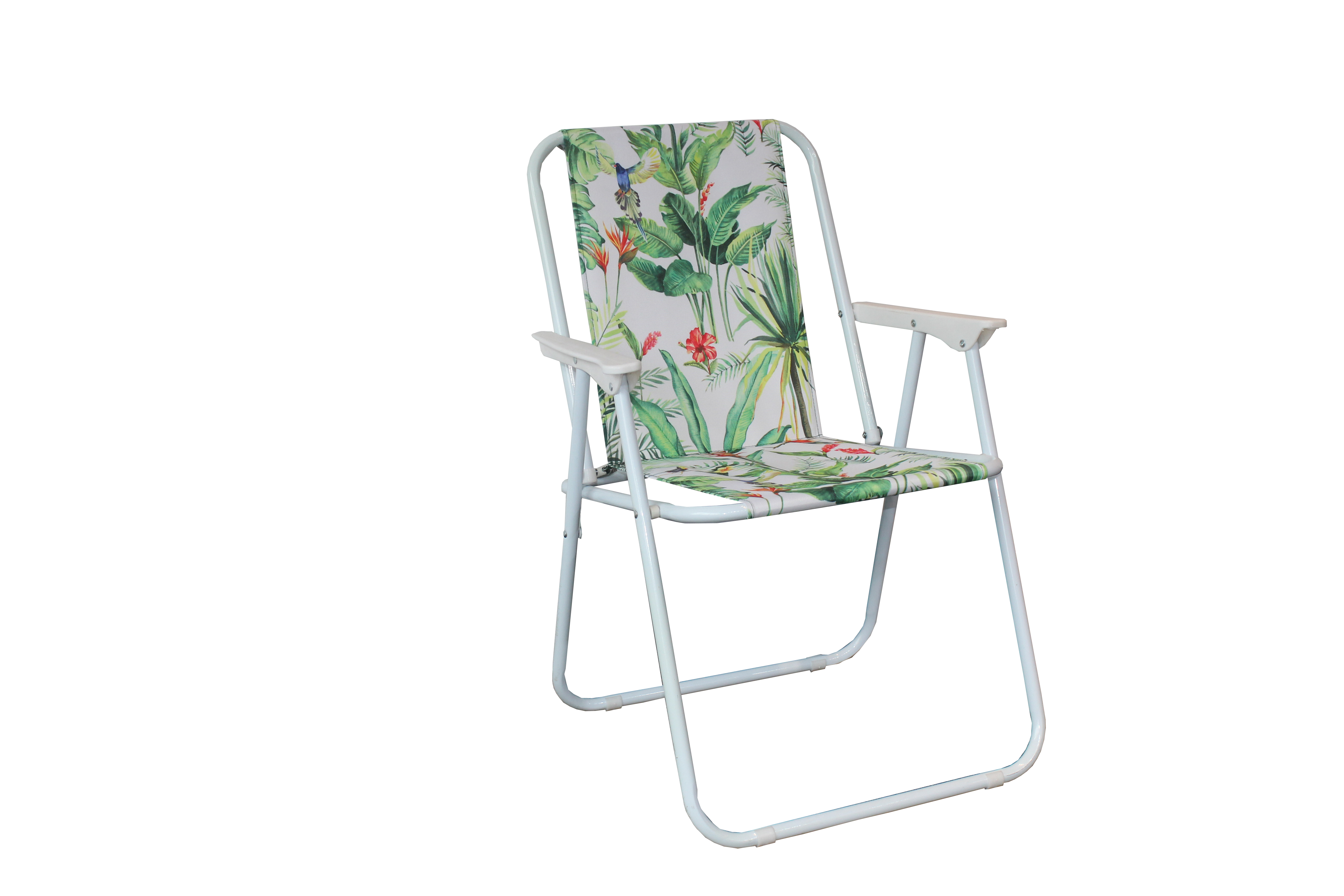 Beach Chair