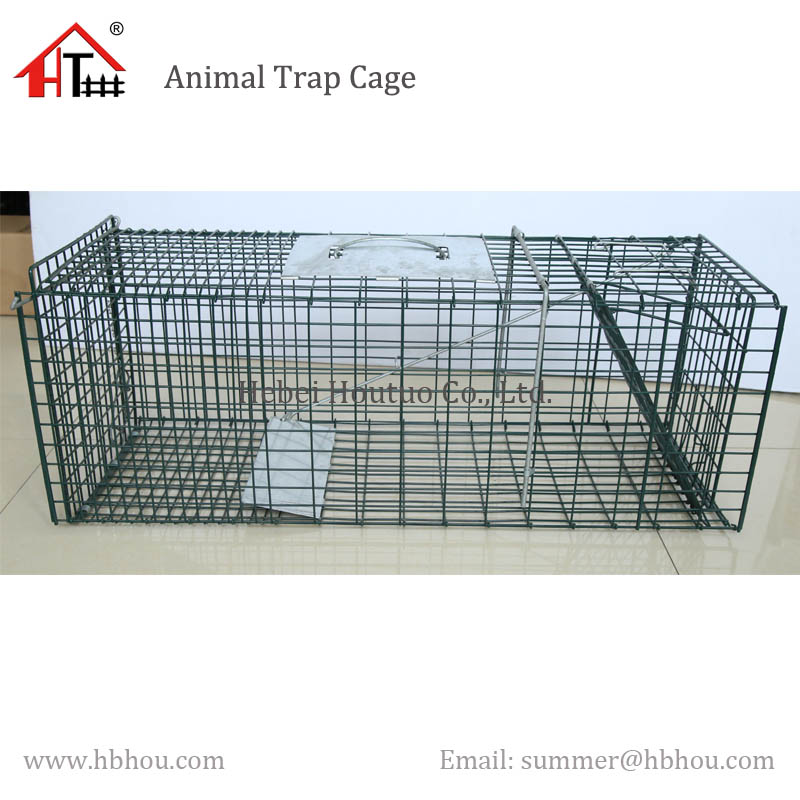 Animal Trap Cage