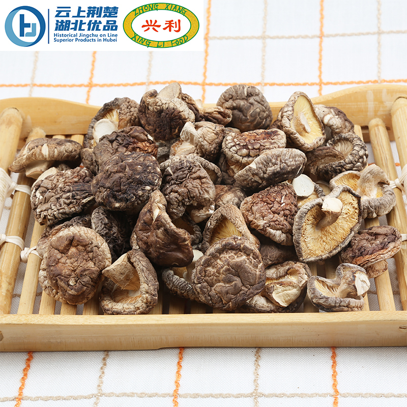 Autumn Smooth Mushroom TB1 3-4CM