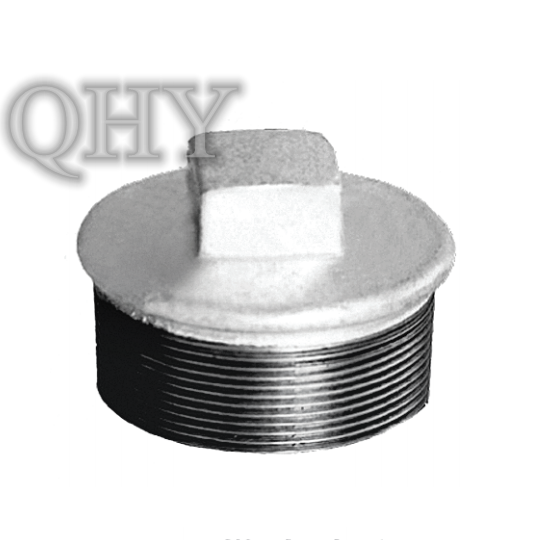 Iron Pipe Fittings(plugs)