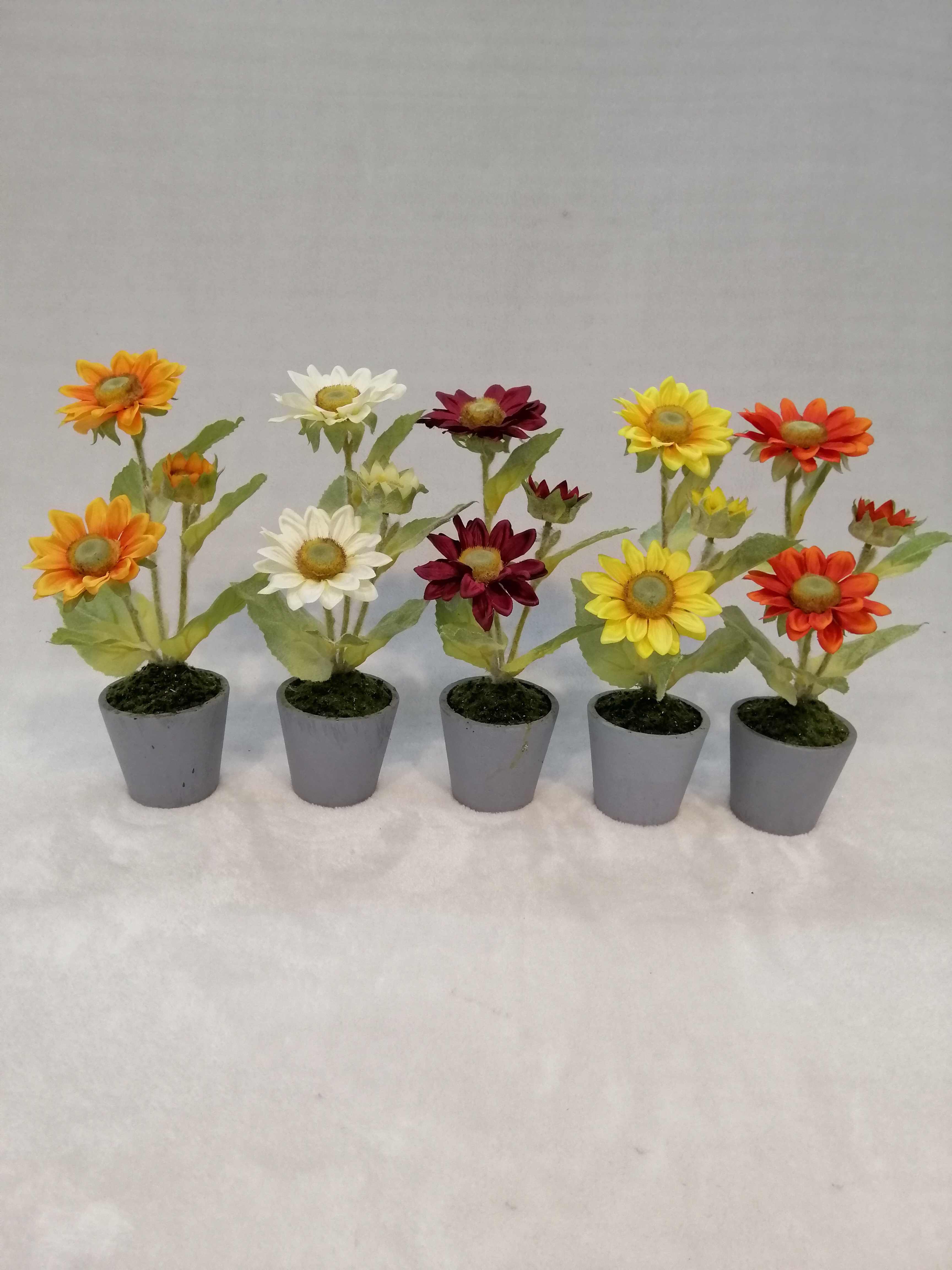 Potted Sunflower