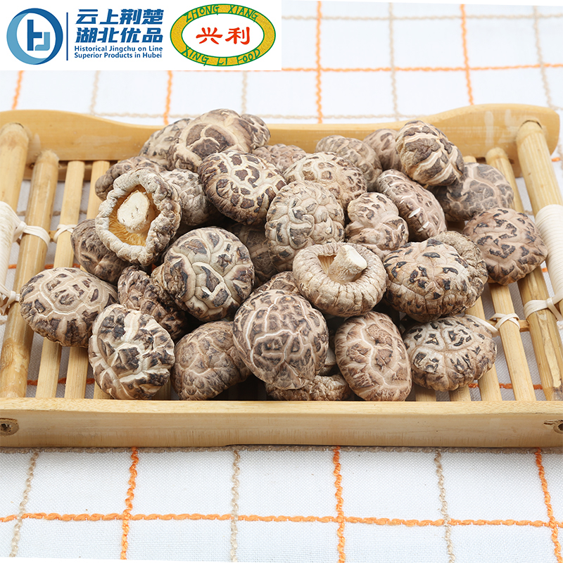 Autumn Premium Tea Flower Mushroom TA1 3-4CM