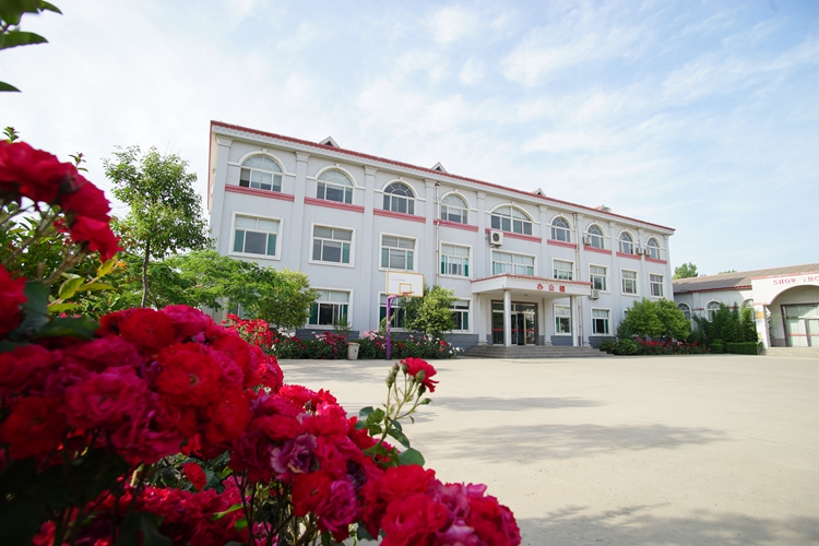 Shandong Shunyu Flower Decoration Co., Ltd. – other artificial flowers and peripheral products 2