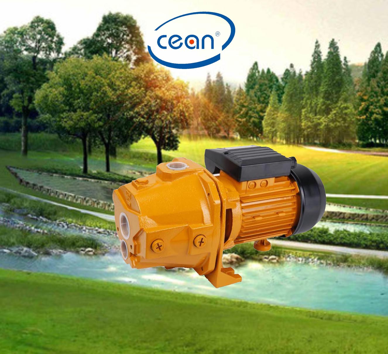 Deep Well Pump