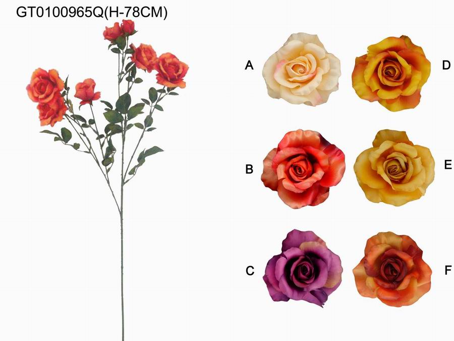 Single rose