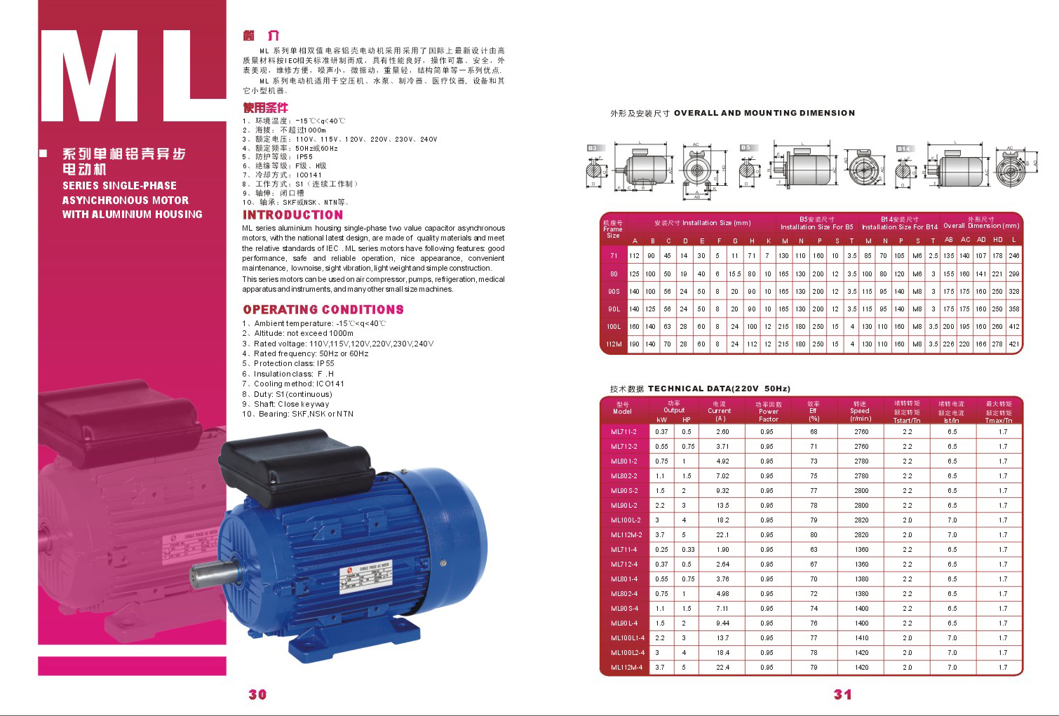 Electric Motor Motor Electrico