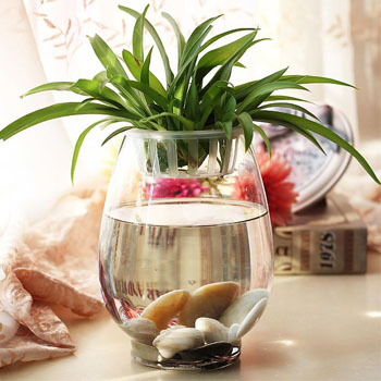 Glass vase