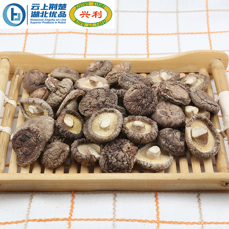 Spring Smooth Mushroom AB 2-3CM