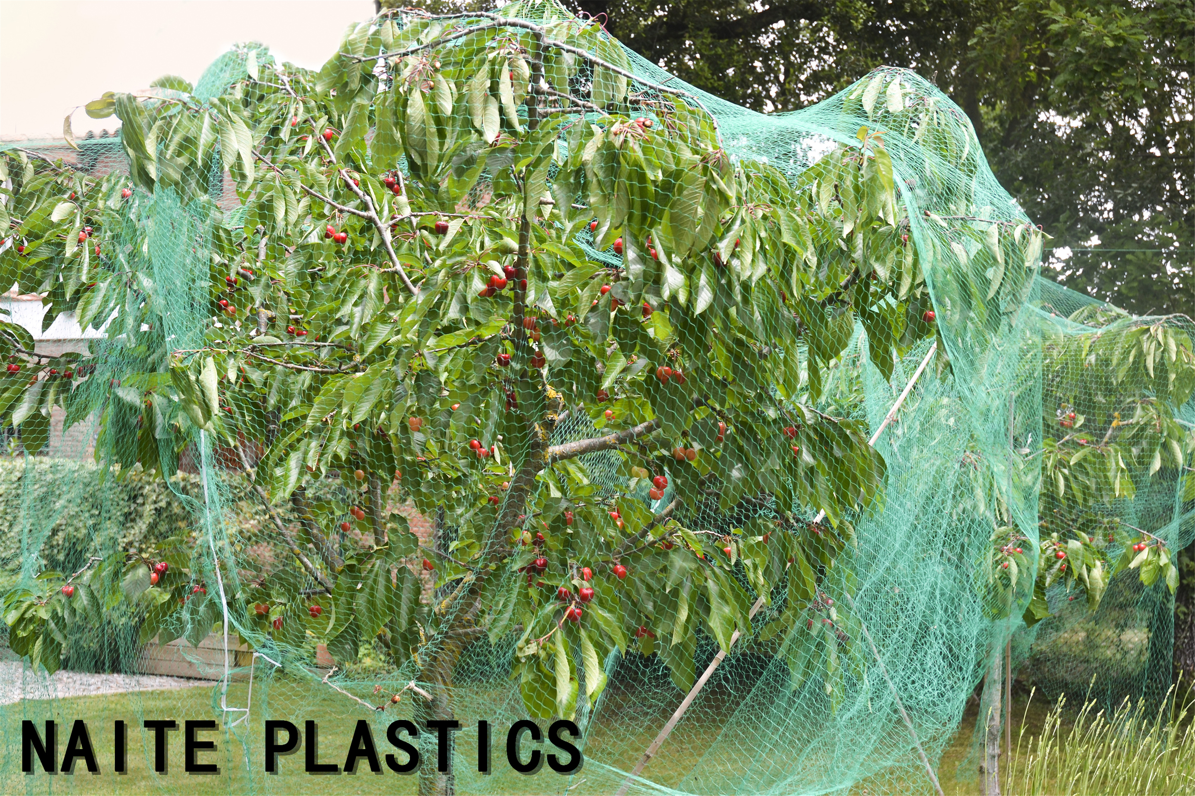 anti-bird net , garden bird netting