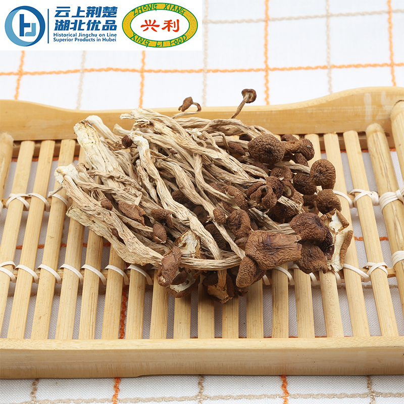 Tea Tree Mushroom