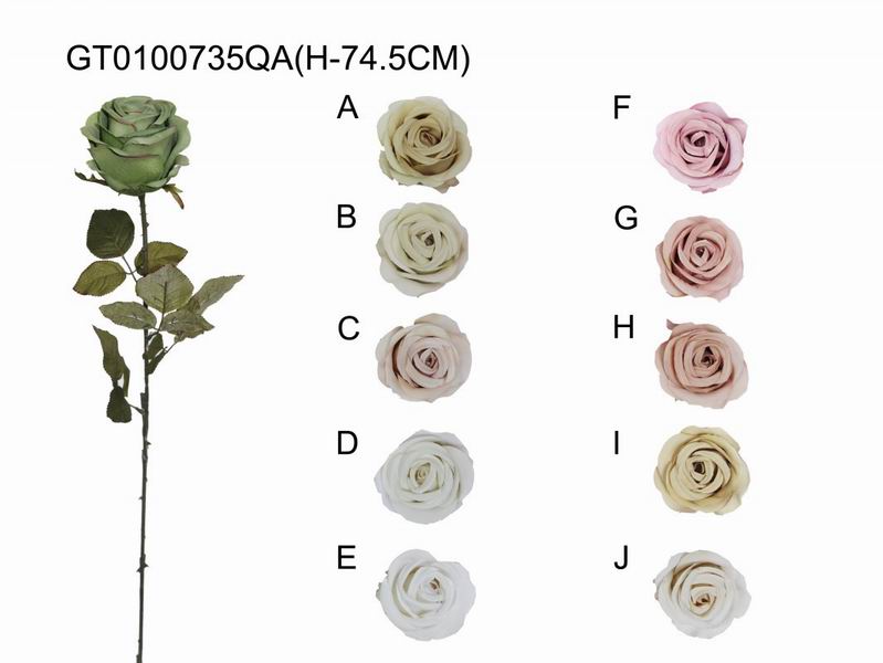 Single rose(autumn)