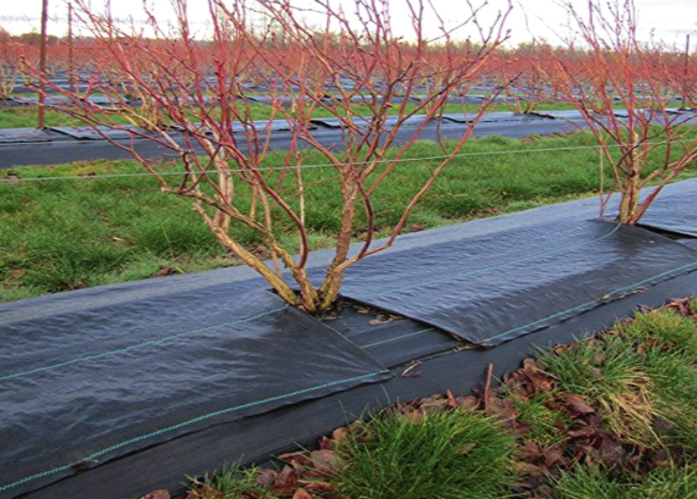 PP Woven weed barrier