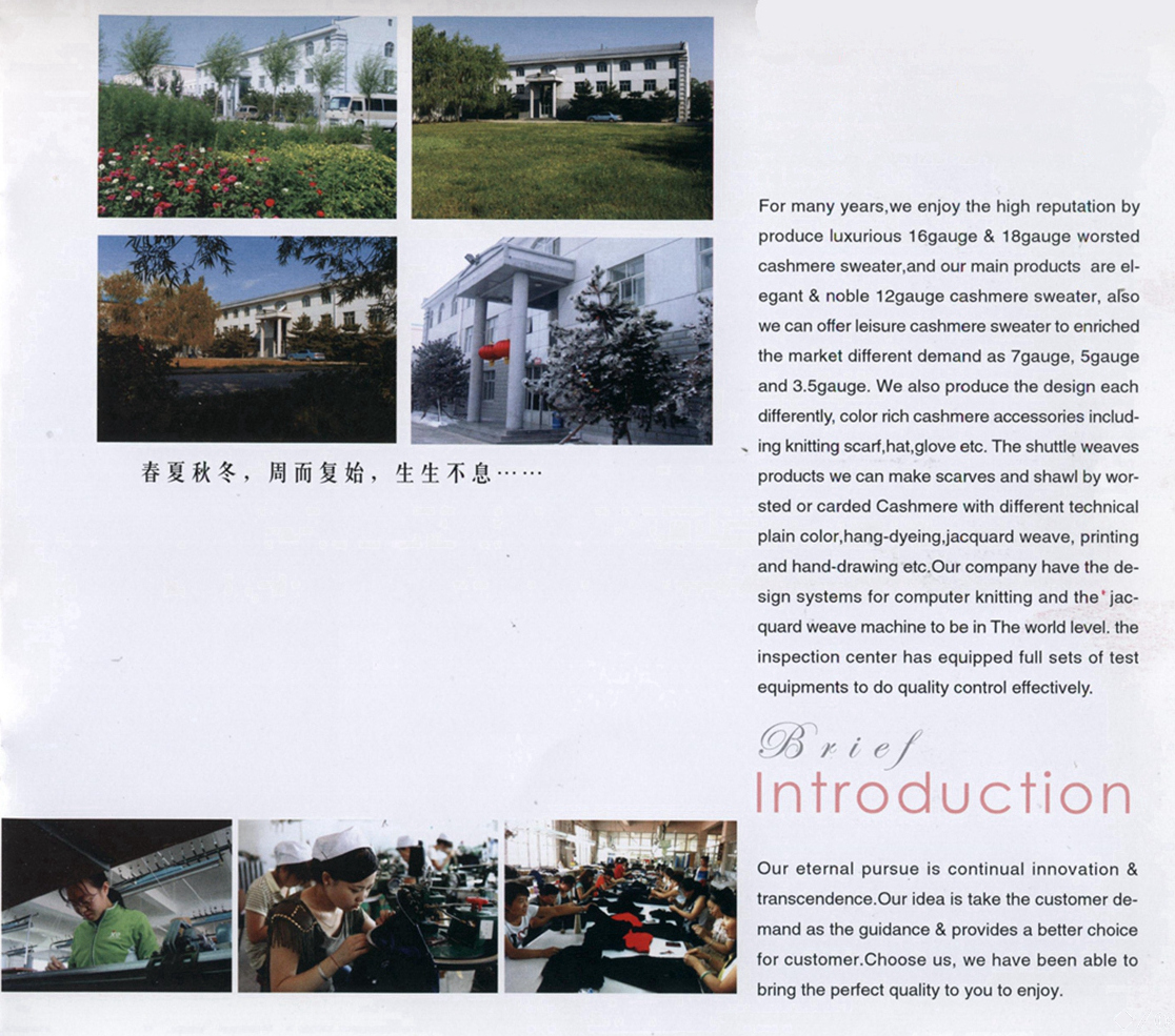 Inner Mongolia Weijia Cashmere Products Co., Ltd. – men's sweaters 2