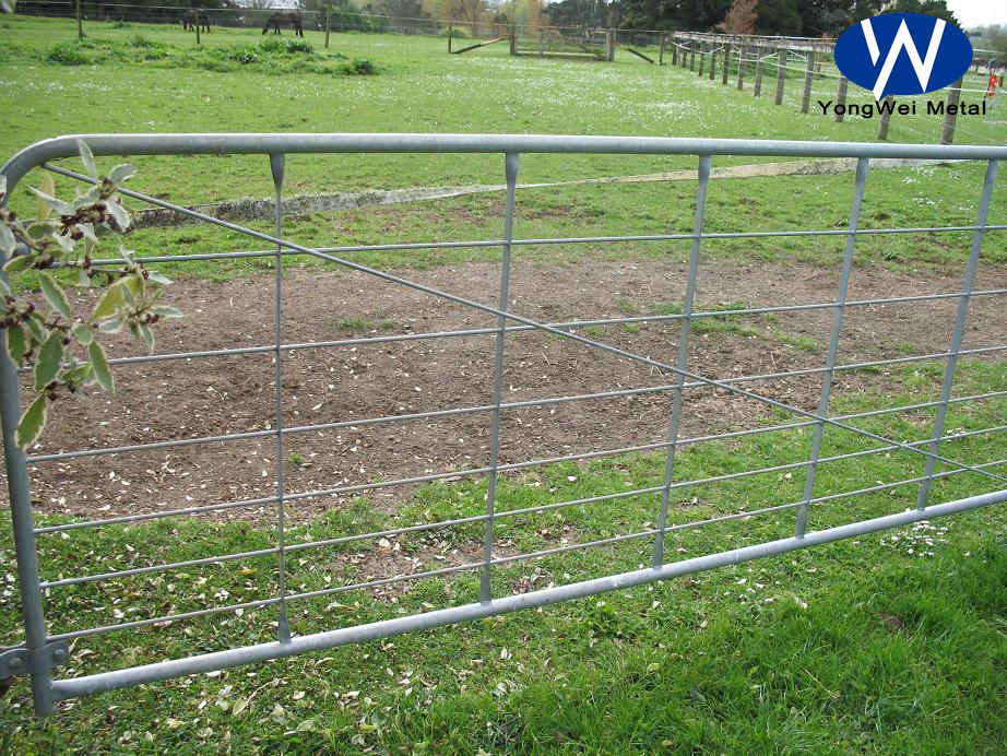 Farm Gate Galvanized Farm Fence For Australia New Zealand