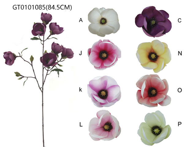 Single magnolia