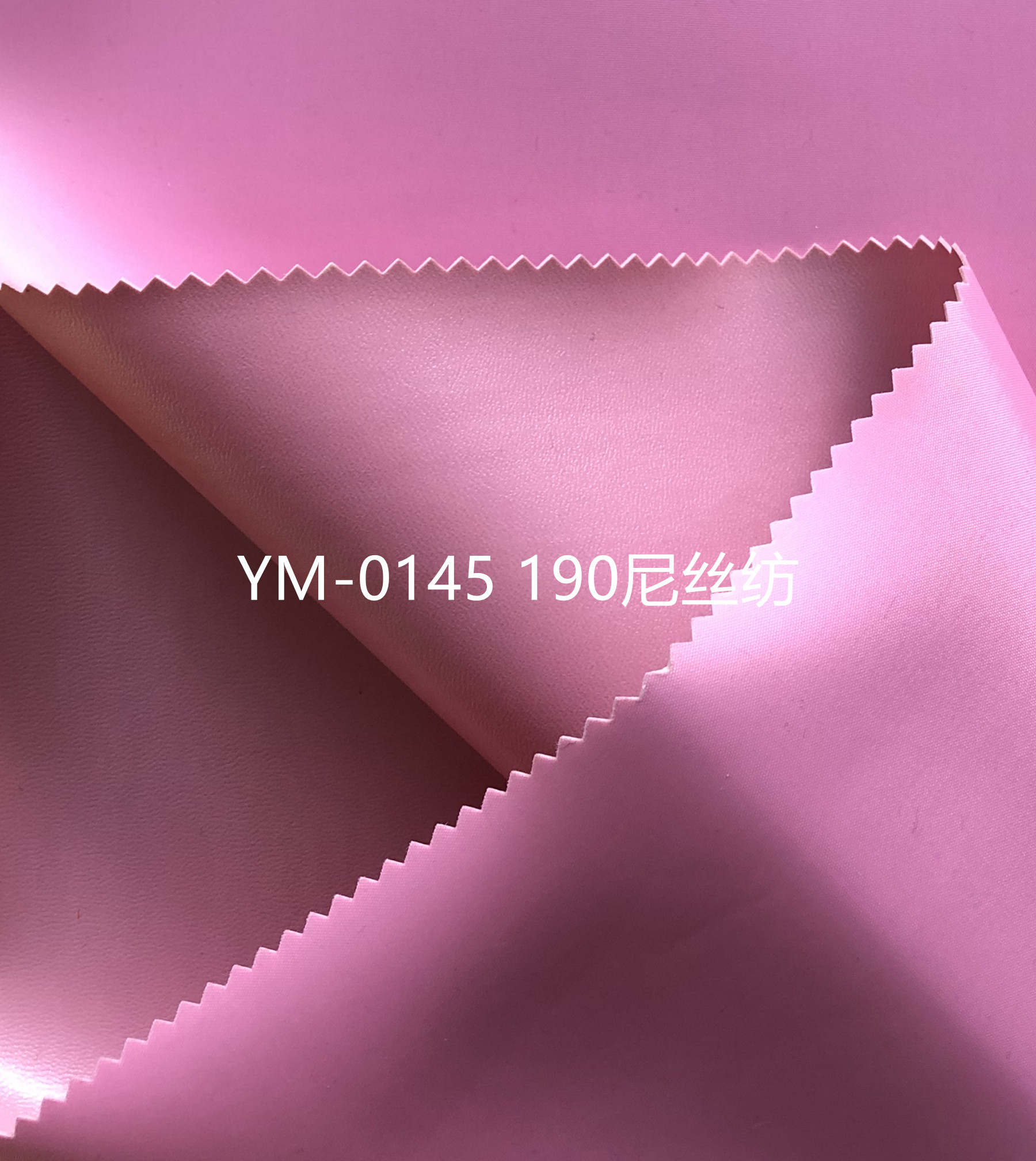 190 Nylon Taffeta Foaming Fabric