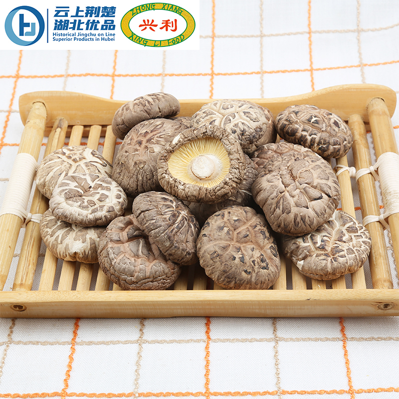 Spring Tea Flower Mushroom 4-5CM
