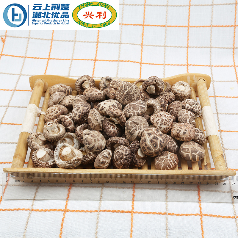 Autumn Premium Tea Flower Mushroom TA2 2-3CM