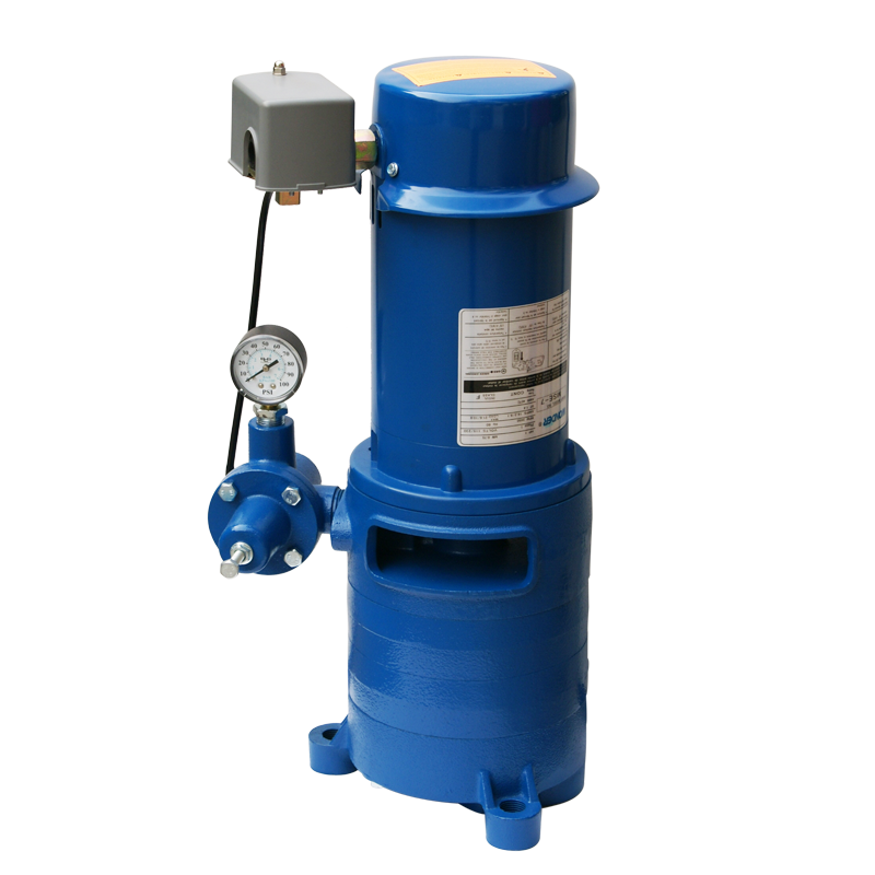 We Series Pumps