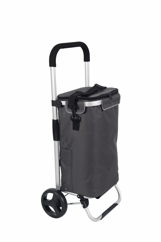 Shopping Trolley Lf508mf-2