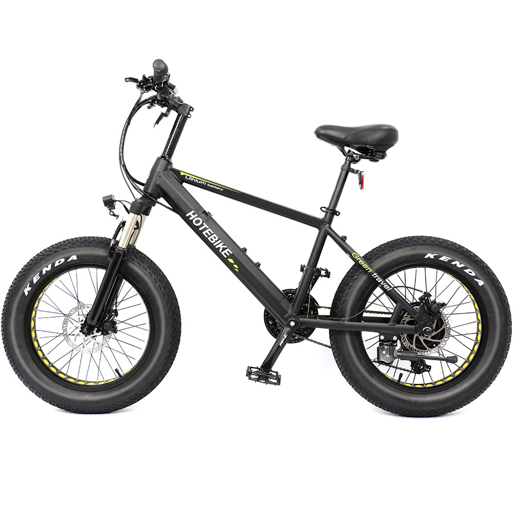 Electric bike