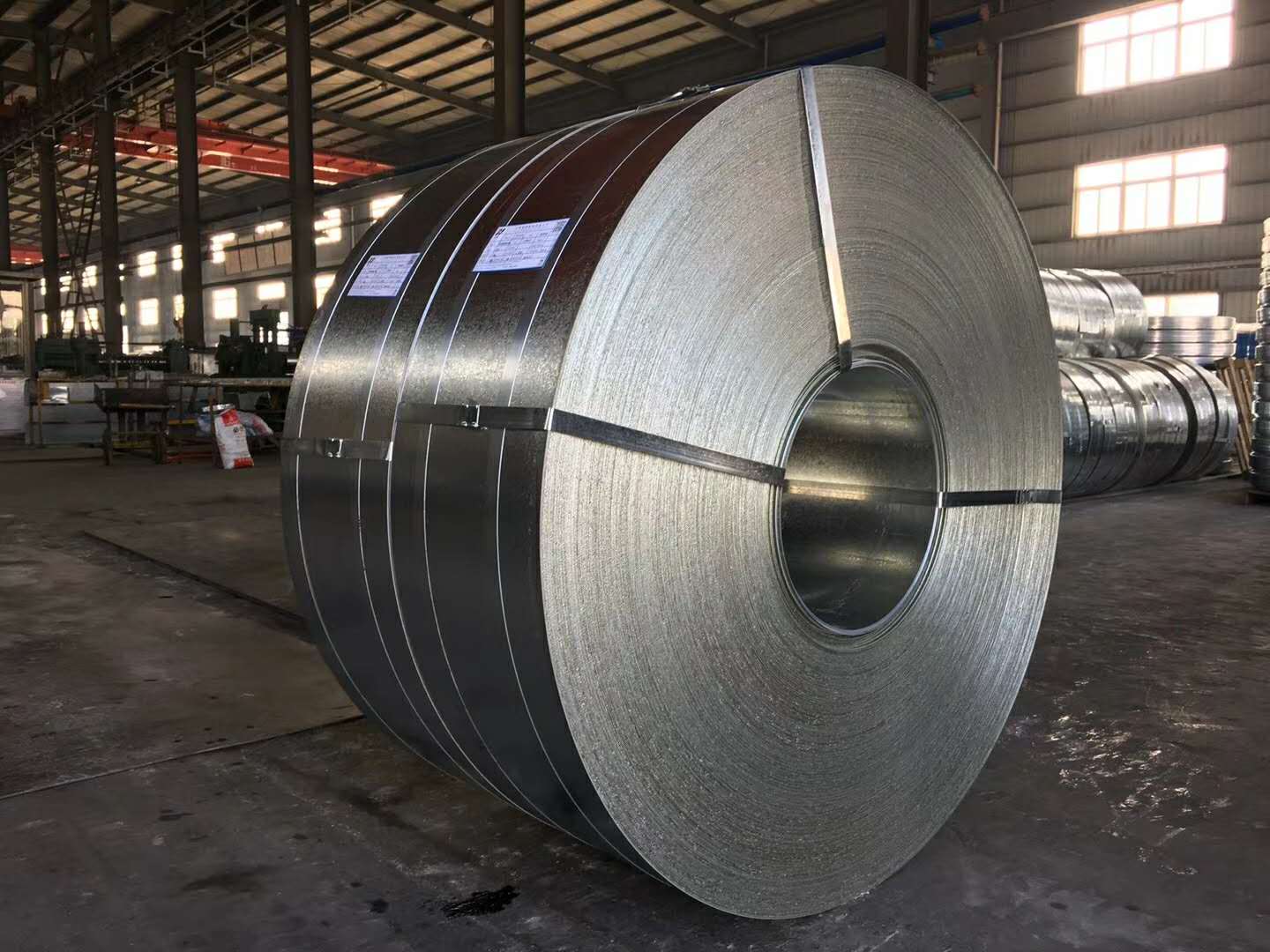 Galvanized Steel Coils