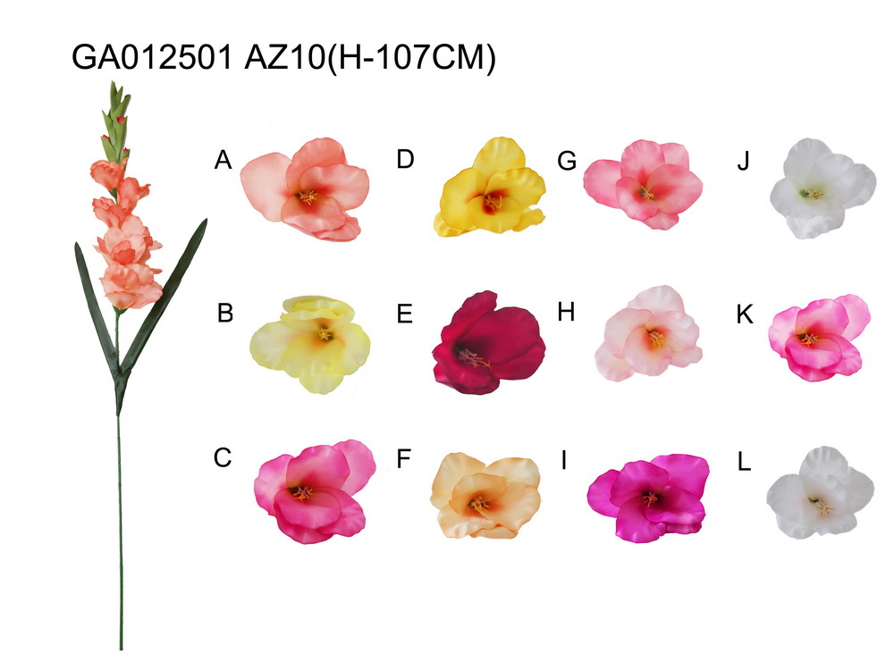 Single gladiolus(H-107CM)