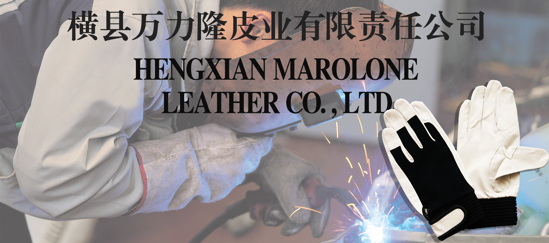 Hengxian Wanlilong Leather Industry Co., Ltd. – Leather gloves (leather gloves) 1