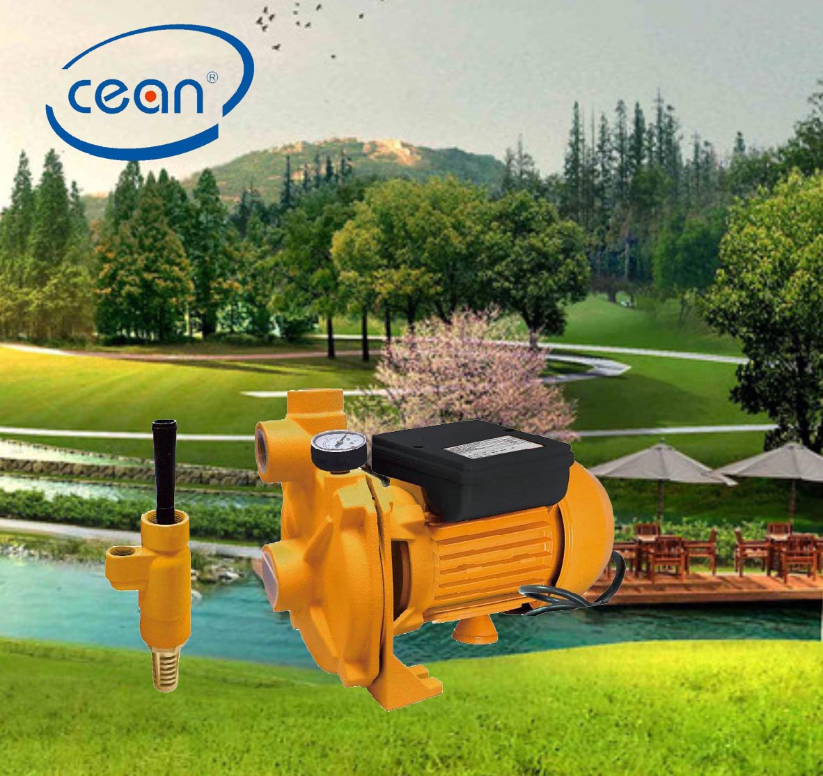 Deep Well Pump