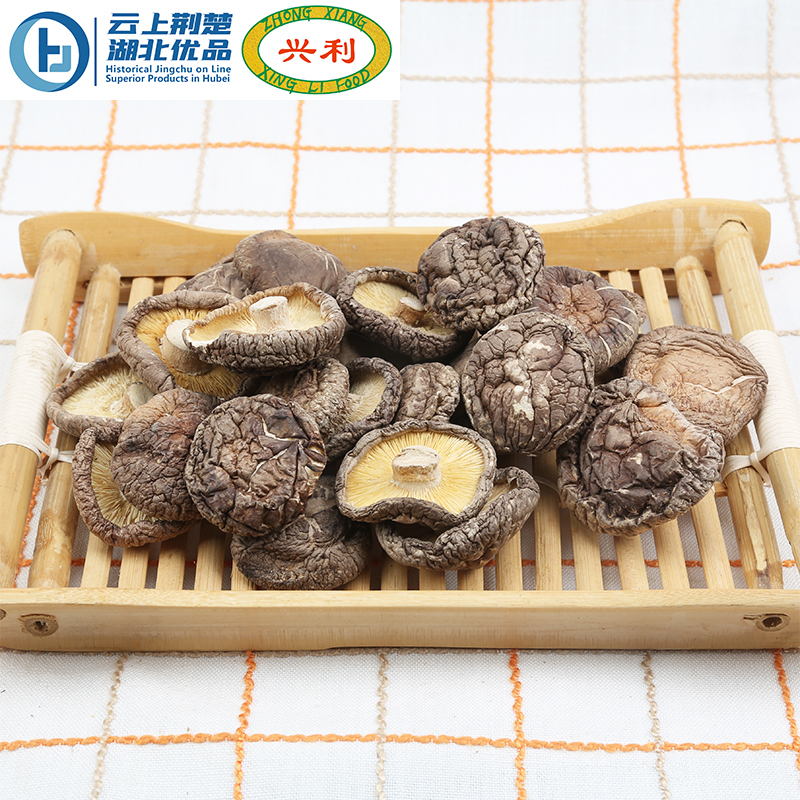 Spring Smooth Mushroom AB 4-5CM