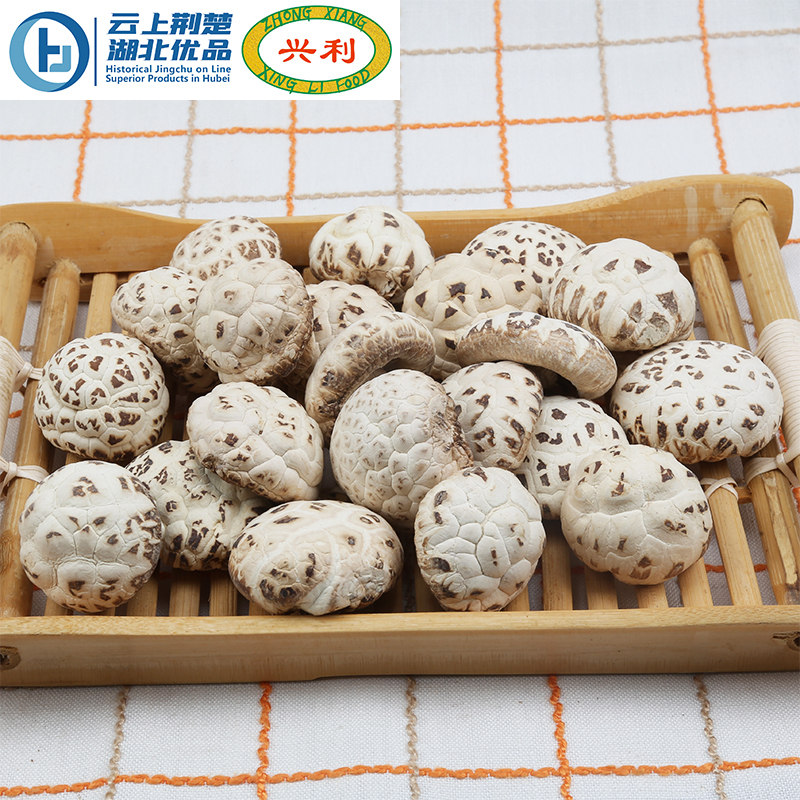 Autumn Sky White Flower Mushroom TAAA1+ 4-5CM