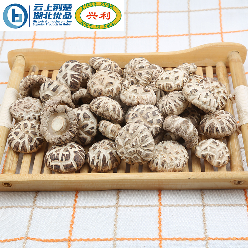 Spring White Flower Mushroom 3-4CM