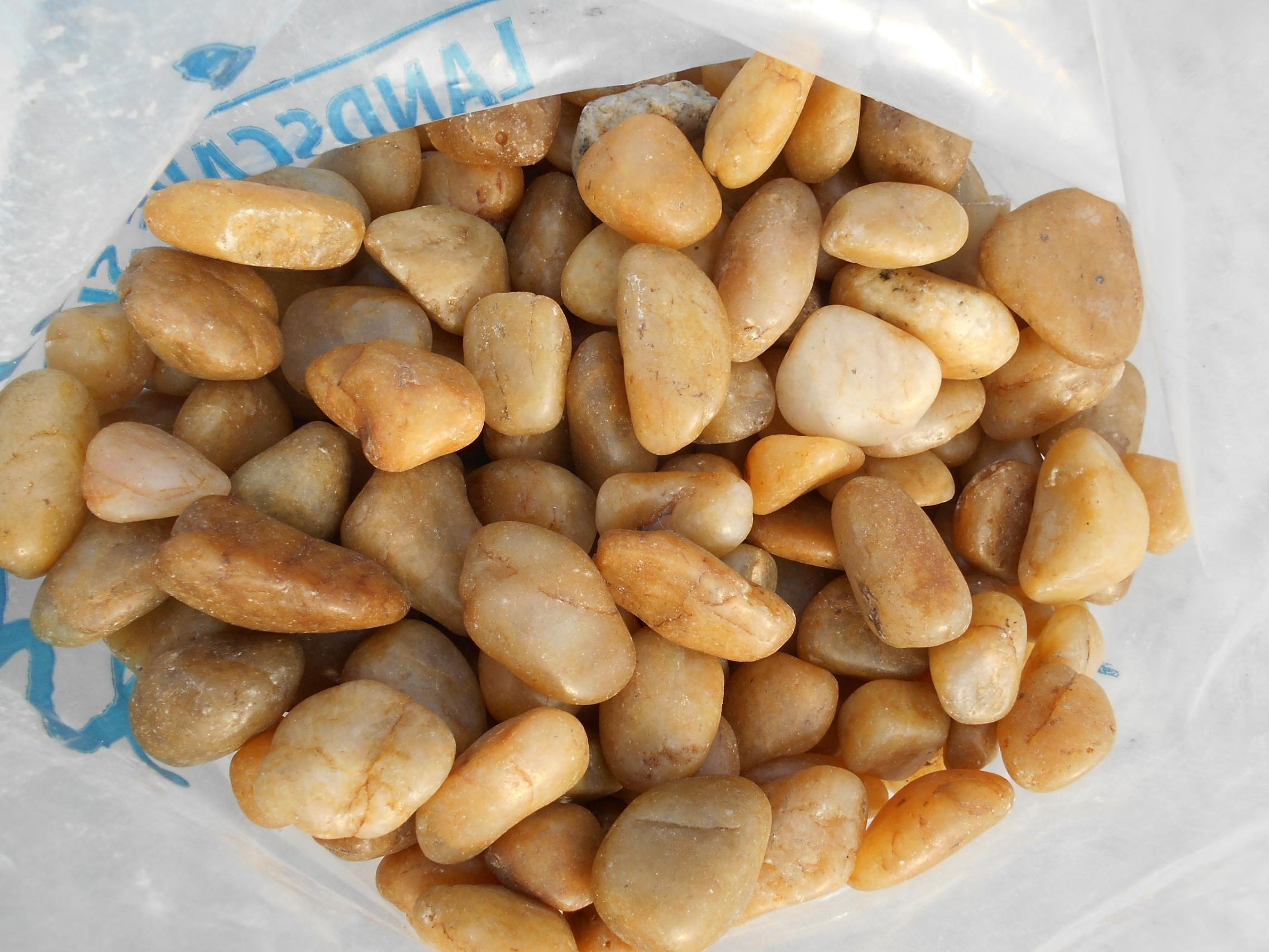 Yellow Polished Pebbles