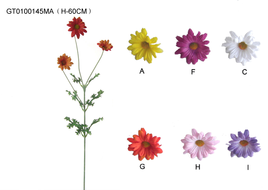 Single micropeach daisy