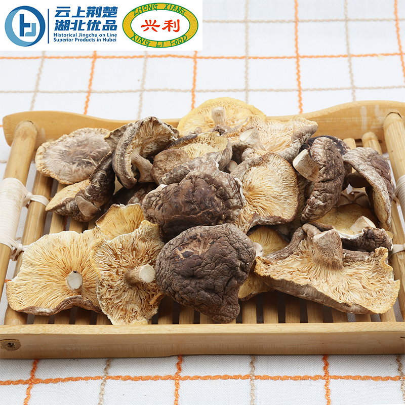 Autumn K Mushroom