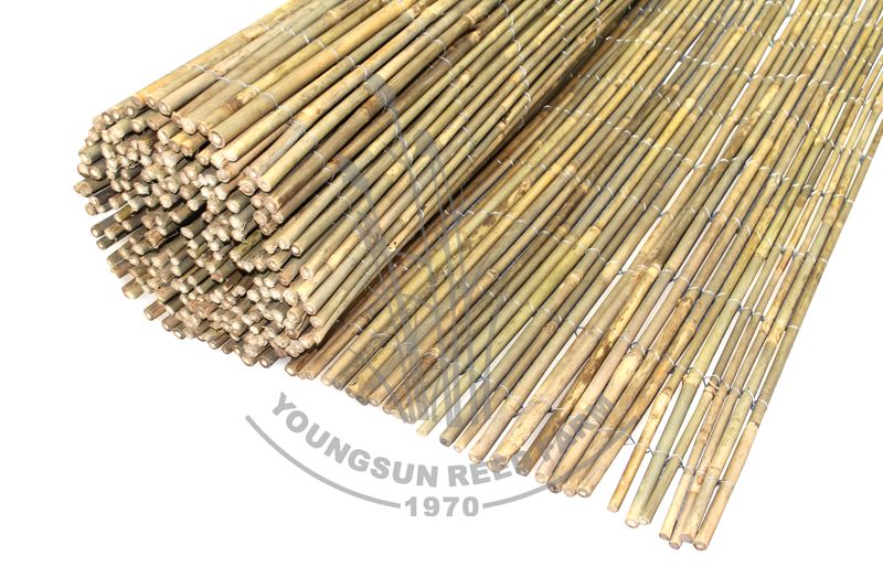 Bamboo Fence